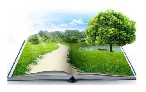 環(huán)保政策對工程項目的風(fēng)險與應(yīng)對